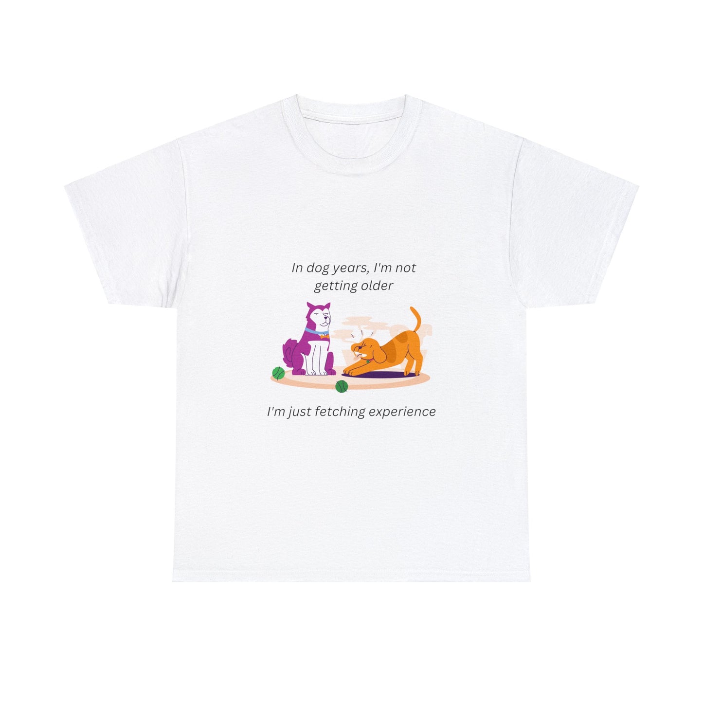 A  white shirt that says "I'm not getting old; in dog years I'm fetching experience." With a silly cartoon of two dogs. One serious, the other playful