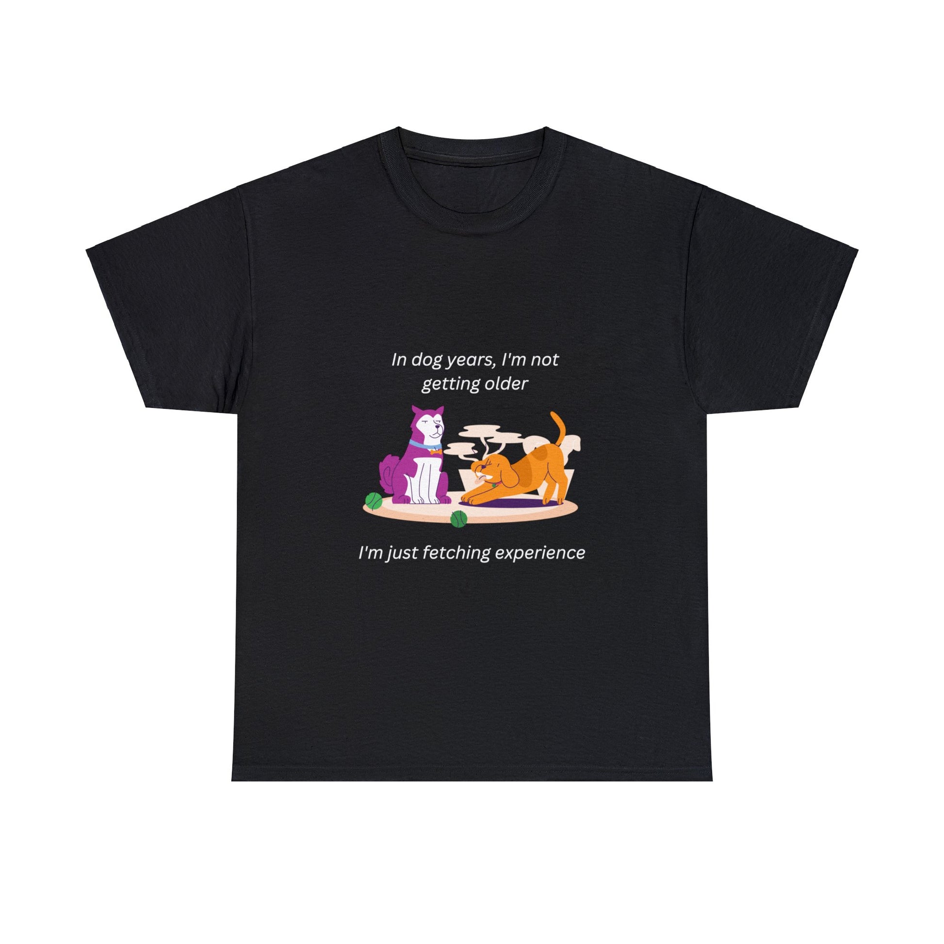 A  black shirt that says "I'm not getting old; in dog years I'm fetching experience." With a silly cartoon of two dogs. One serious, the other playful